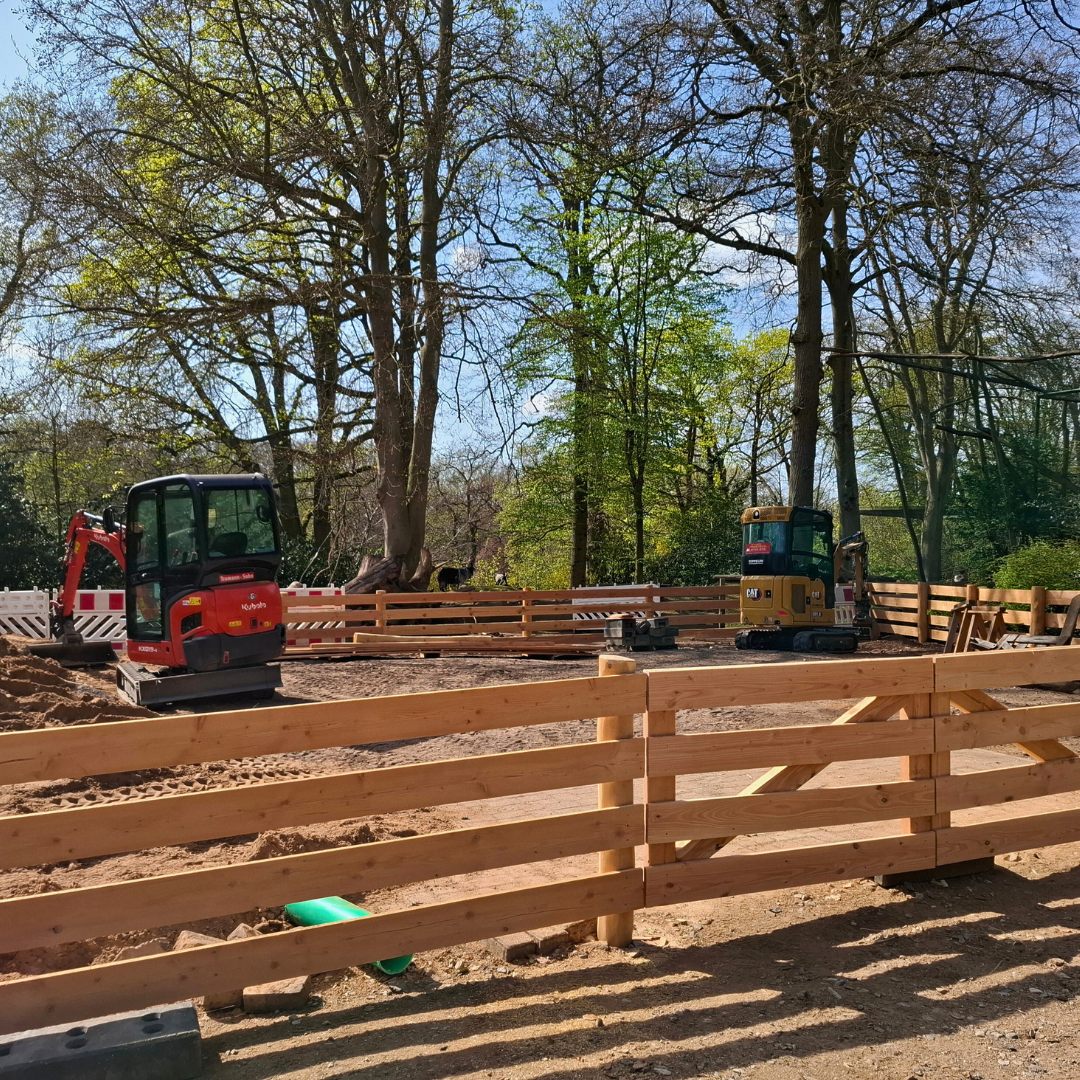 Blick auf einen Holzzaun, dahinter stehen Baugeräte, Bäume werden grün