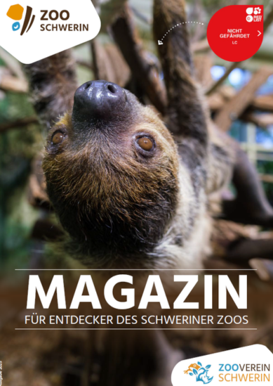 Abbildung des Zoo Schwerin Magazin-Covers mit einem Faultier