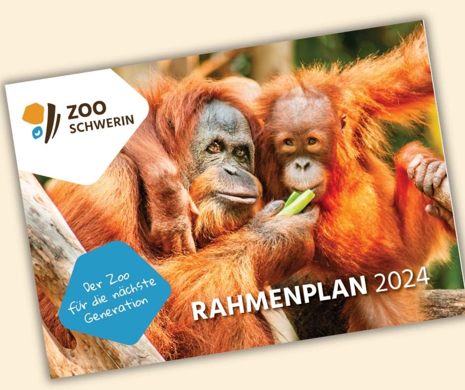 Grafische Darstellung der ersten Seite des Rahmenplans mit einem Bild von zwei Orang-Utans darauf