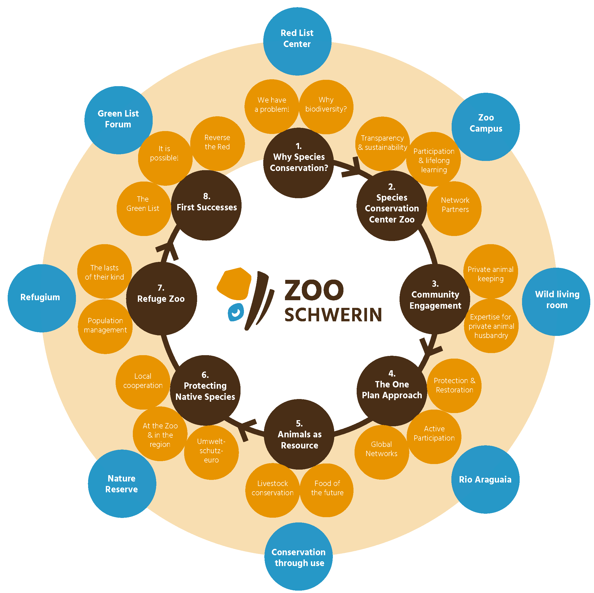 Konzeption - Englisch