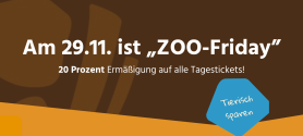 Bild mit Text: Am 29.11. ist ZOO Friday mit 20 Prozent Rabatt auf alle Tagestickets